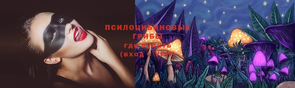 PSILOCYBIN Балабаново
