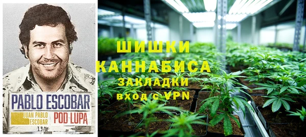 PSILOCYBIN Балабаново