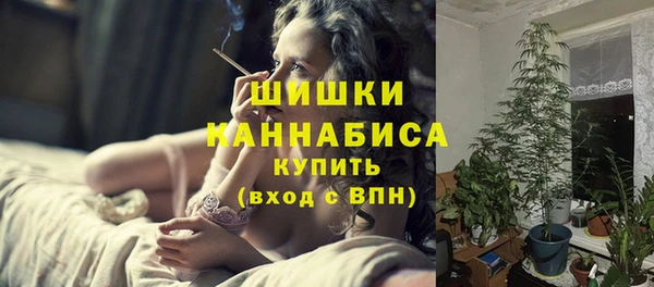 PSILOCYBIN Балабаново